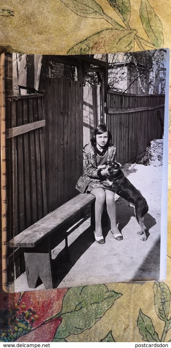 Original PHOTO PORTRAIT CARTE - LITTLE  GIRL WITH A DOG - CHIEN  - 1970s - Autres & Non Classés