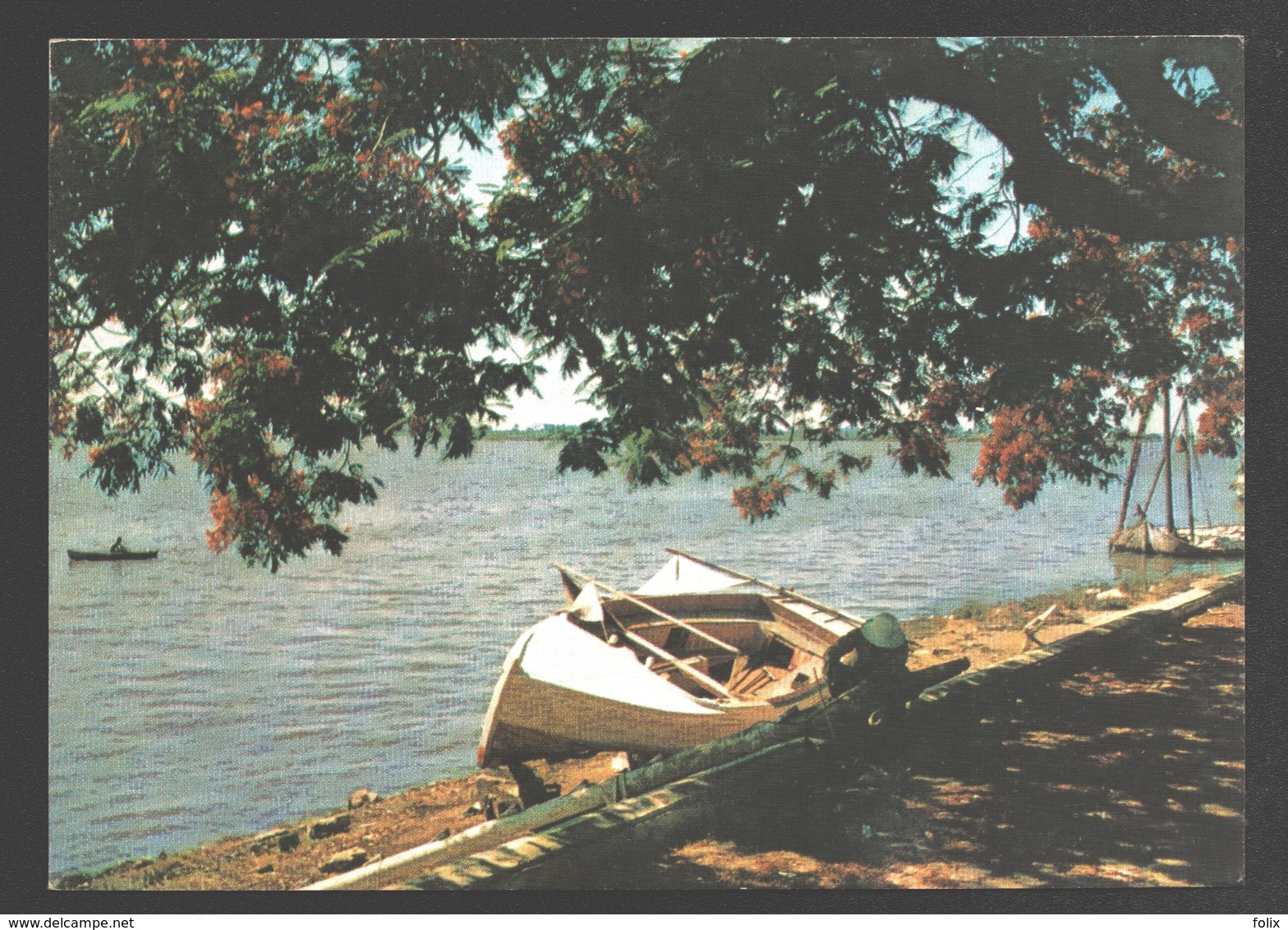 Egypt - View Of The Nile - Boat / Bateau - Autres & Non Classés