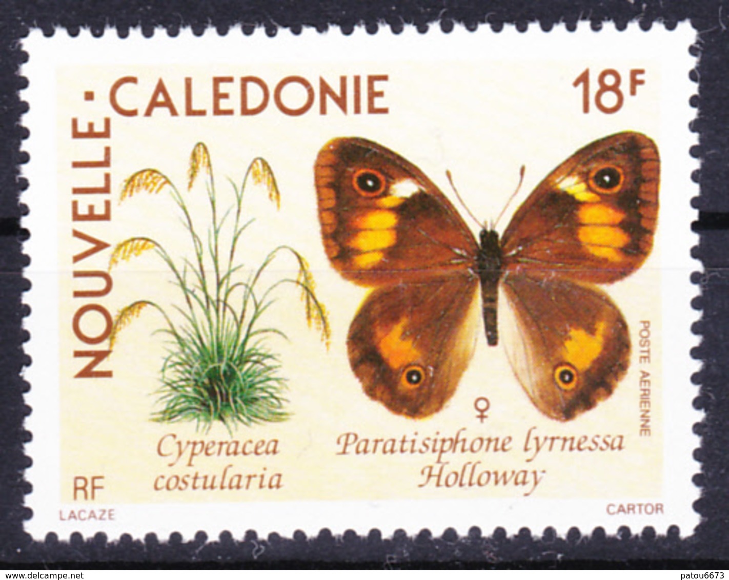 New Caledonia Nouvelle Calédonie 1990 Airmail Butterfly ( Yv PA 265 ) MNH** Luxe - Unused Stamps