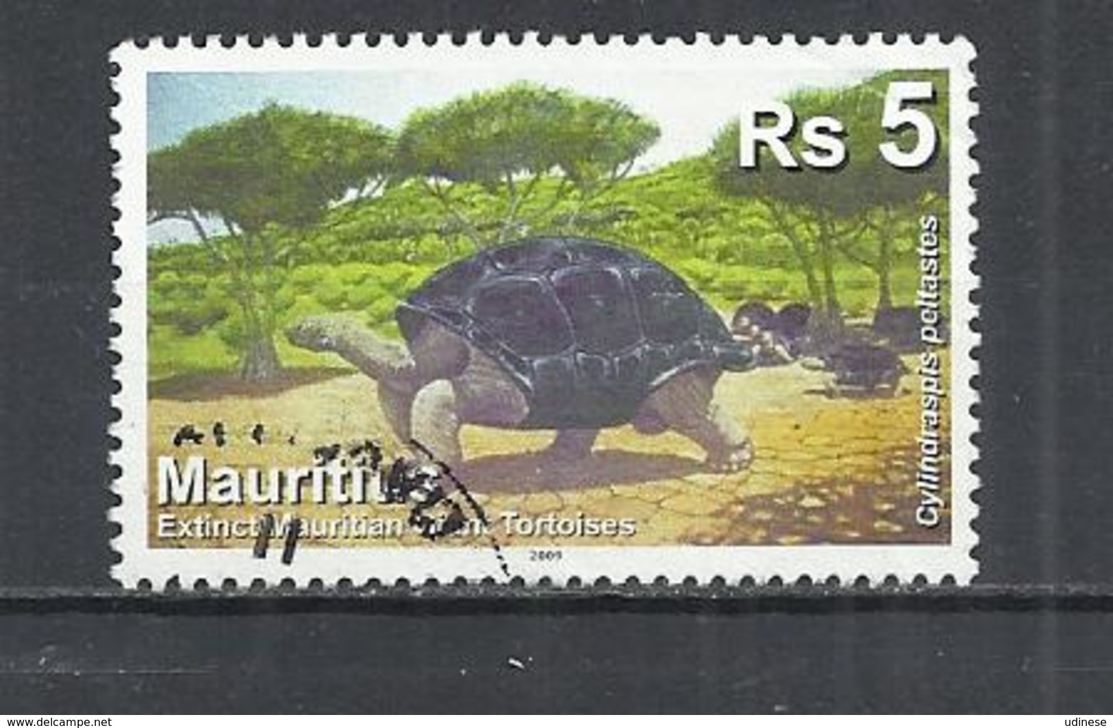 MAURITIUS 2009 - CYLINRASPIS PELTASTES  -  USED OBLITERE GESTEMPELT USADO - Maurice (1968-...)