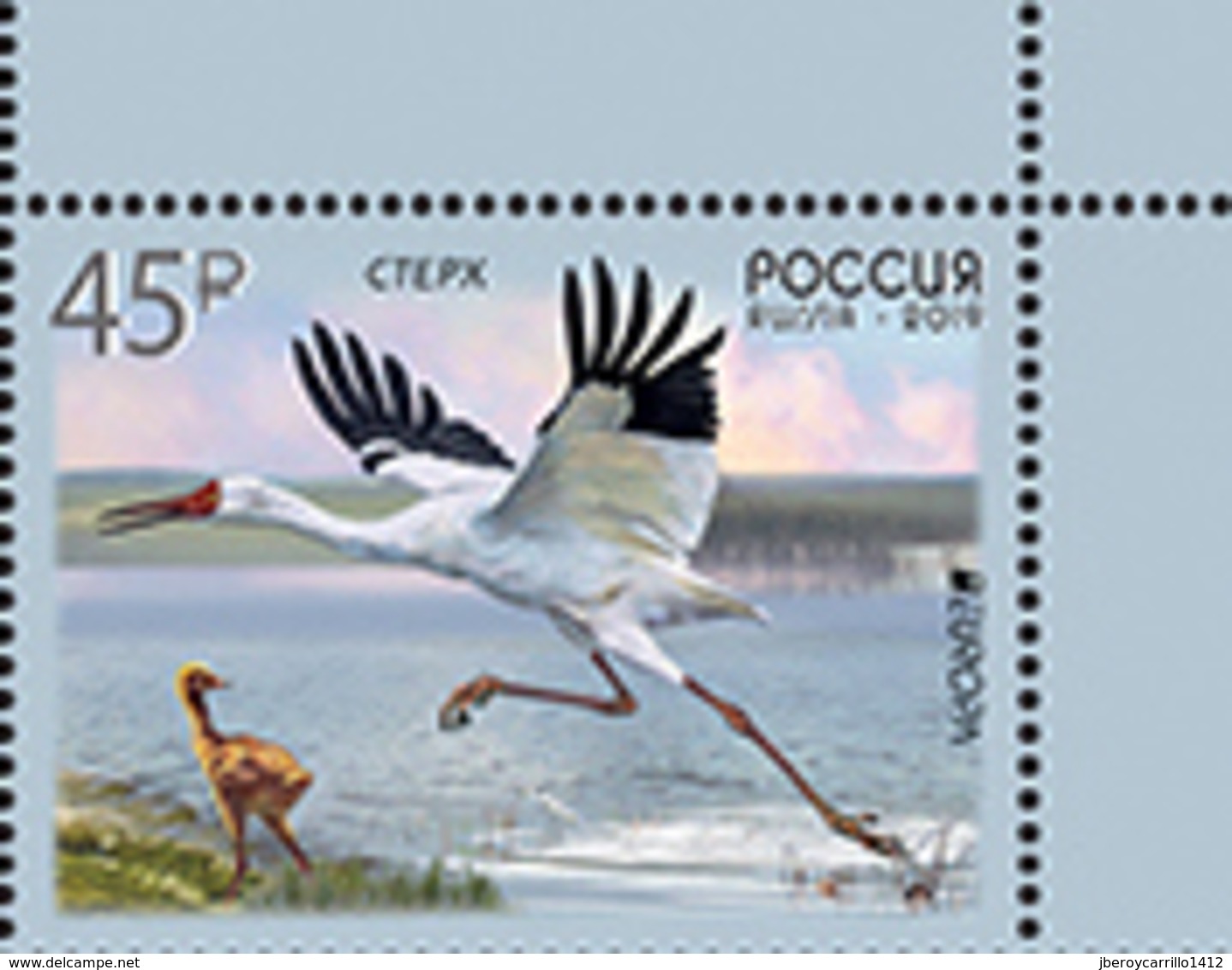 RUSIA 2019 /RUSSLAND /RUSSIA - EUROPA 2019 -"AVES - BIRDS - VÖGEL - OISEAUX"- GRULLA BLANCA DE SIBERIA - SERIE De 1 V.-B - 2019