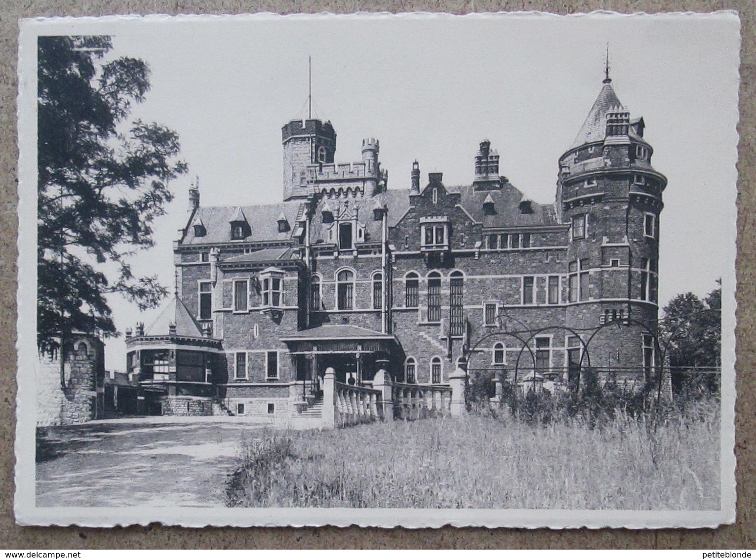 (K26) - Home De Colonheid - Le Château - Het Kasteel - Trooz