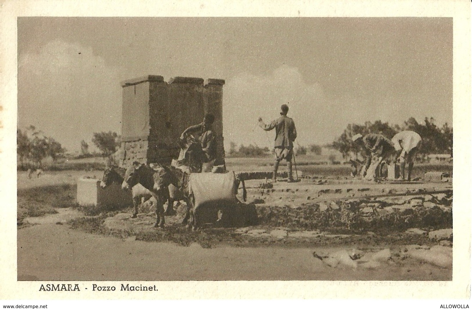 2230 " ASMARA - POZZO MACINET " CARTOLINA POSTALE ANIMATA ORIGINALE NON SPED. - Eritrea