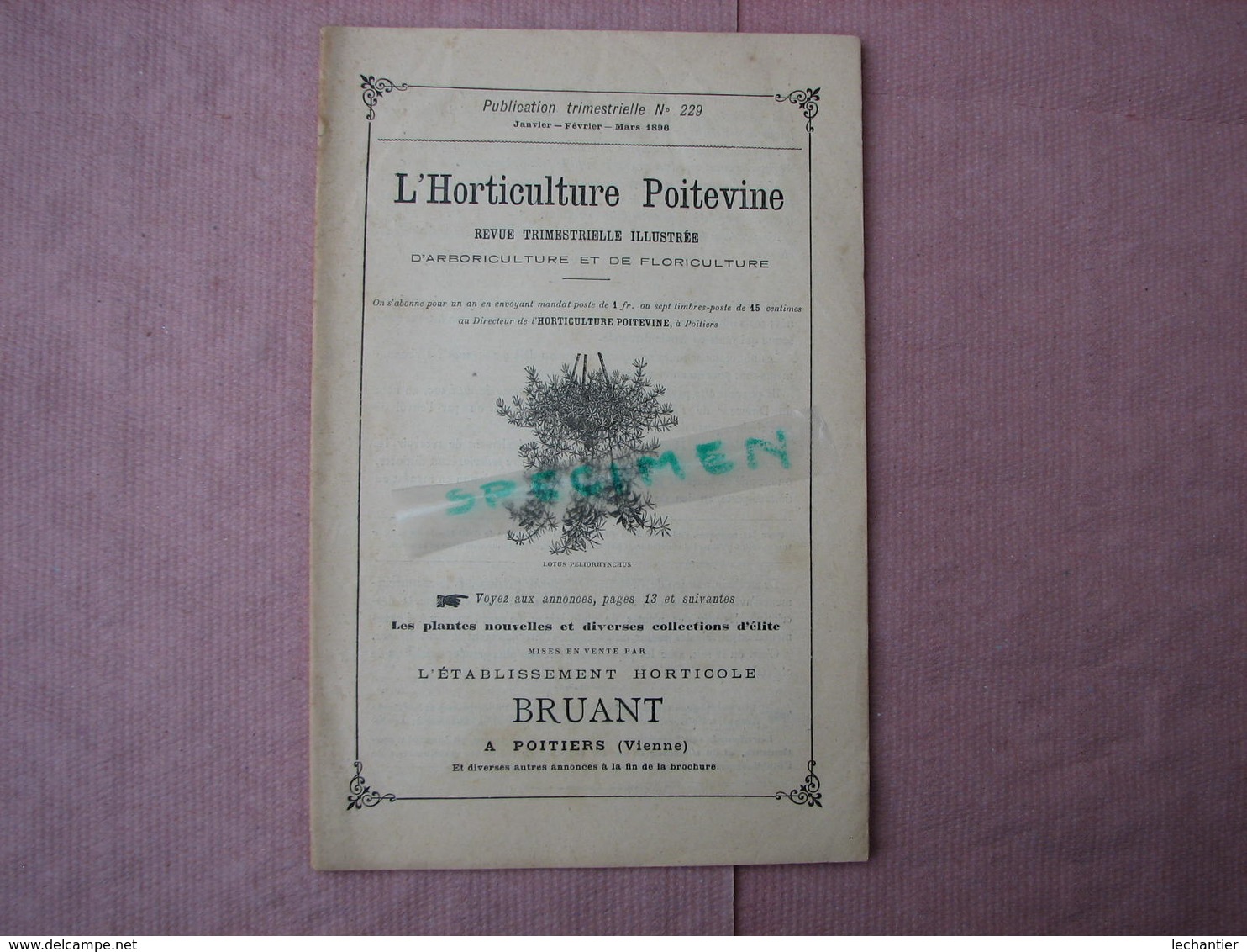 Bruant Poitiers Catalogue 1896 N°229 L'Horticulture Poitevine ,les Plantes Nouvelles Et Diverses, Coll. Délite - Other & Unclassified