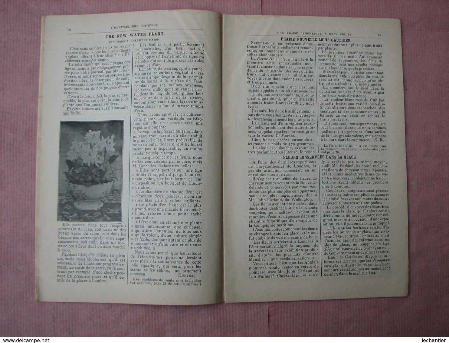 Bruant Poitiers Catalogue 1896 N°229 L'Horticulture Poitevine ,les Plantes Nouvelles Et Diverses, Coll. Délite - Autres & Non Classés
