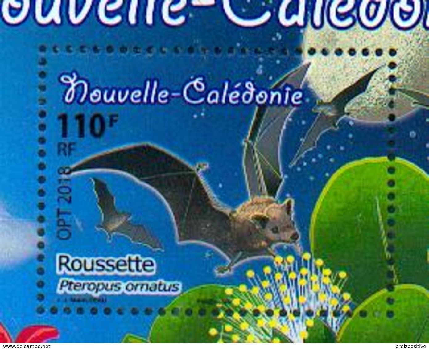 Nouvelle Calédonie / New Caledonia 2018 - Roussette / Fruit Bat / Flying Fox / Pteropus Ornatus - MNH - Chauve-souris