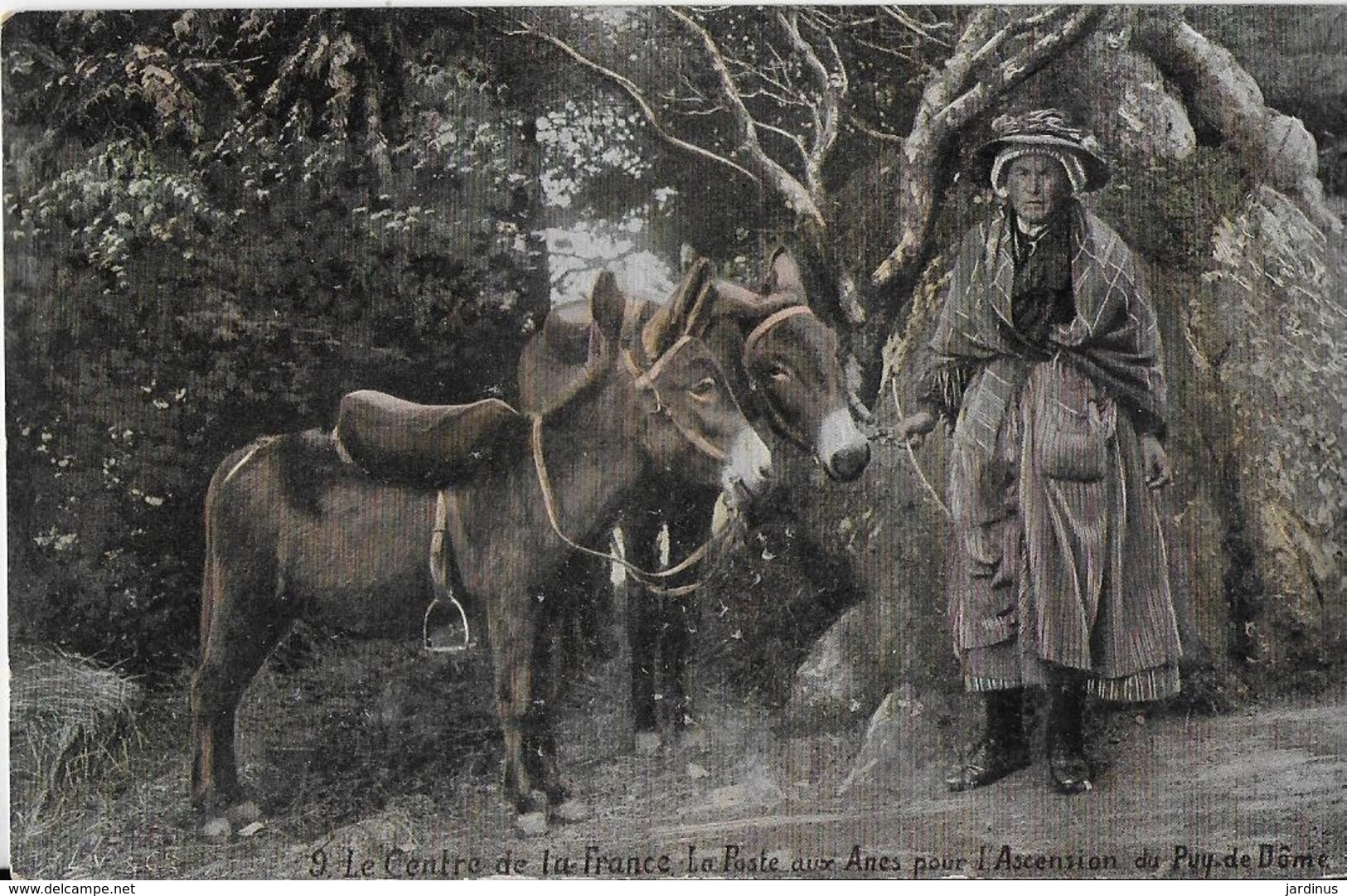 LE CENTRE DE  LA FRANCE :La Poste Aux Anes Pour L'Ascension Du Puy De Dôme (1907) - Autres & Non Classés