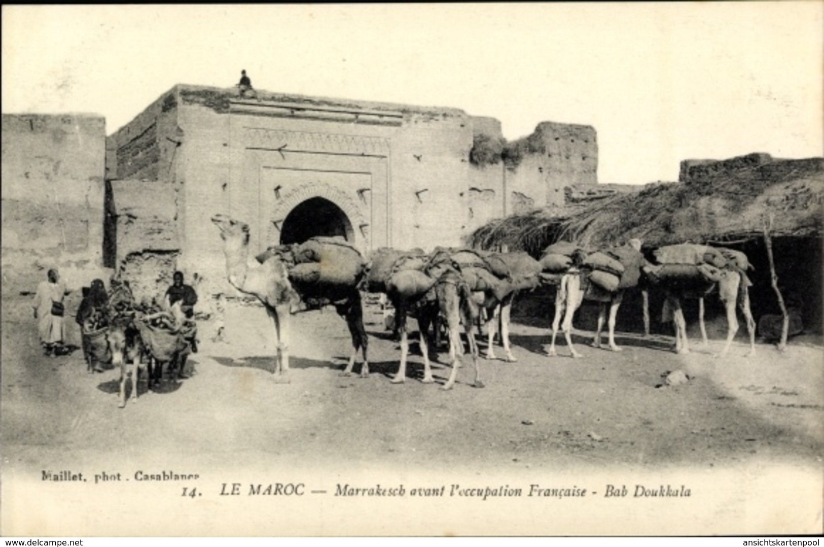Cp Marrakesch Marokko, Bab Doukkala, Kamele, Esel - Autres & Non Classés