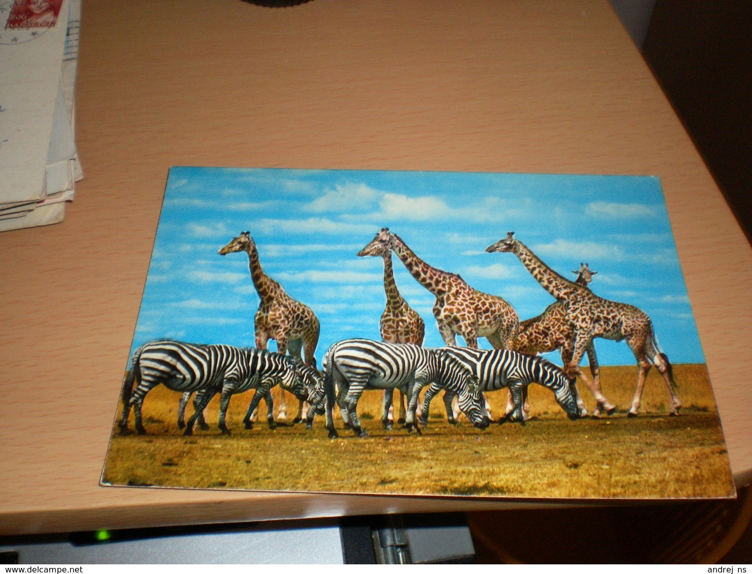 Giraffes Zebras Kenya  By Air Mail - Girafes