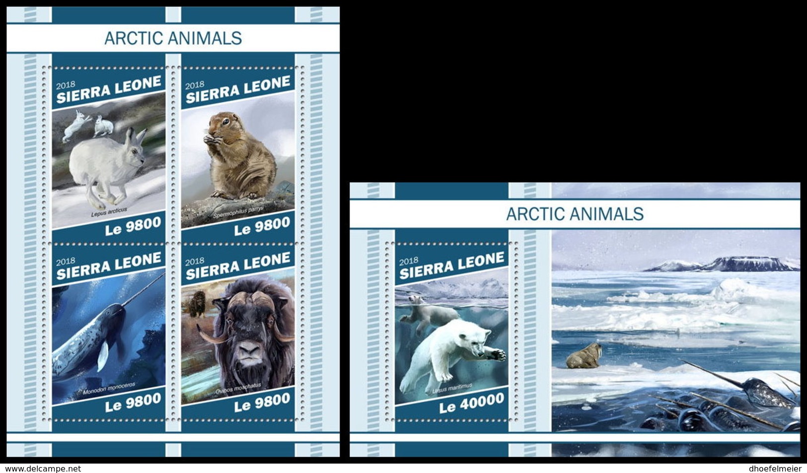 SIERRA LEONE 2018 MNH Arctic Animals Tiere Der Arktis Animaux Arctiques M/S+S/S - OFFICIAL ISSUE - DH1903 - Arctic Tierwelt