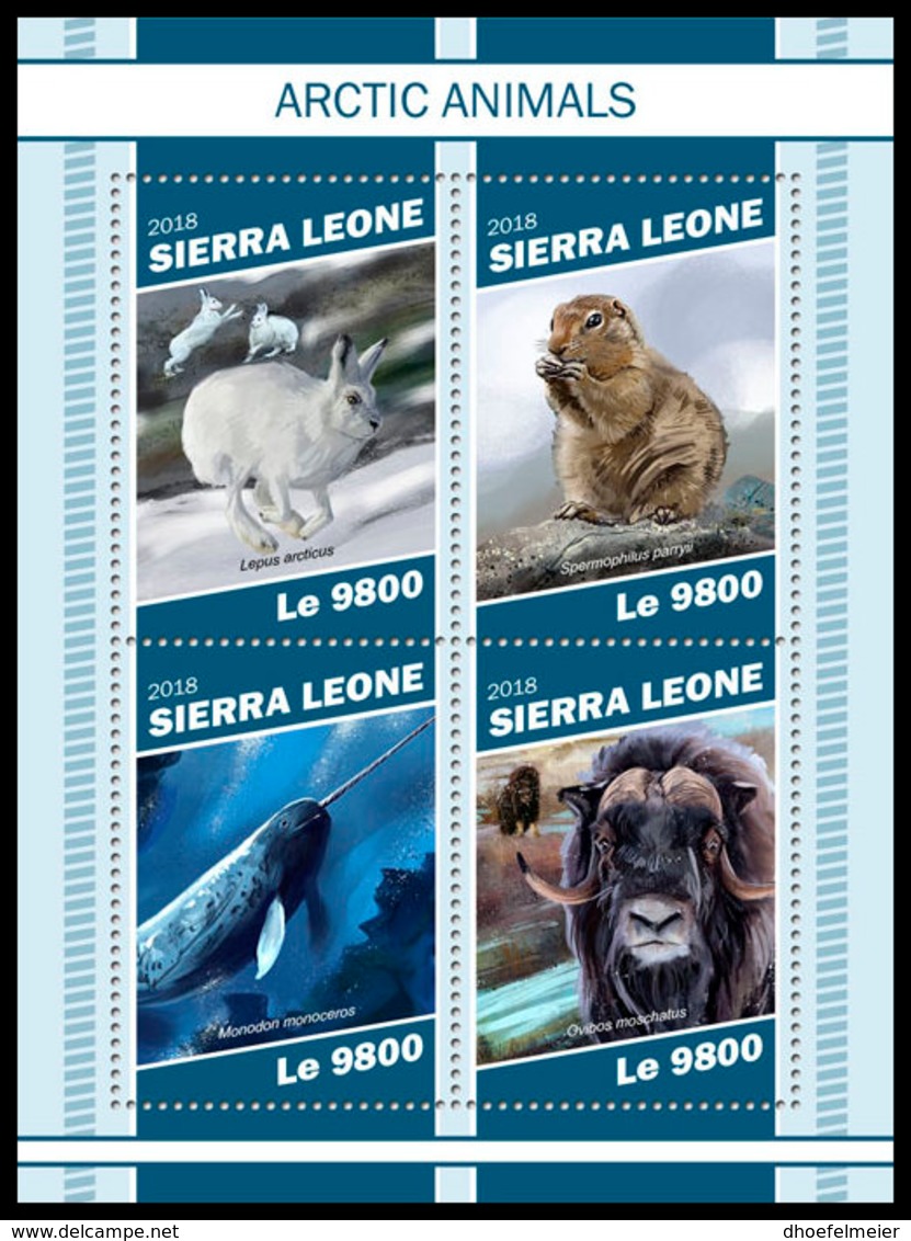 SIERRA LEONE 2018 MNH Arctic Animals Tiere Der Arktis Animaux Arctiques M/S - OFFICIAL ISSUE - DH1903 - Arctic Tierwelt