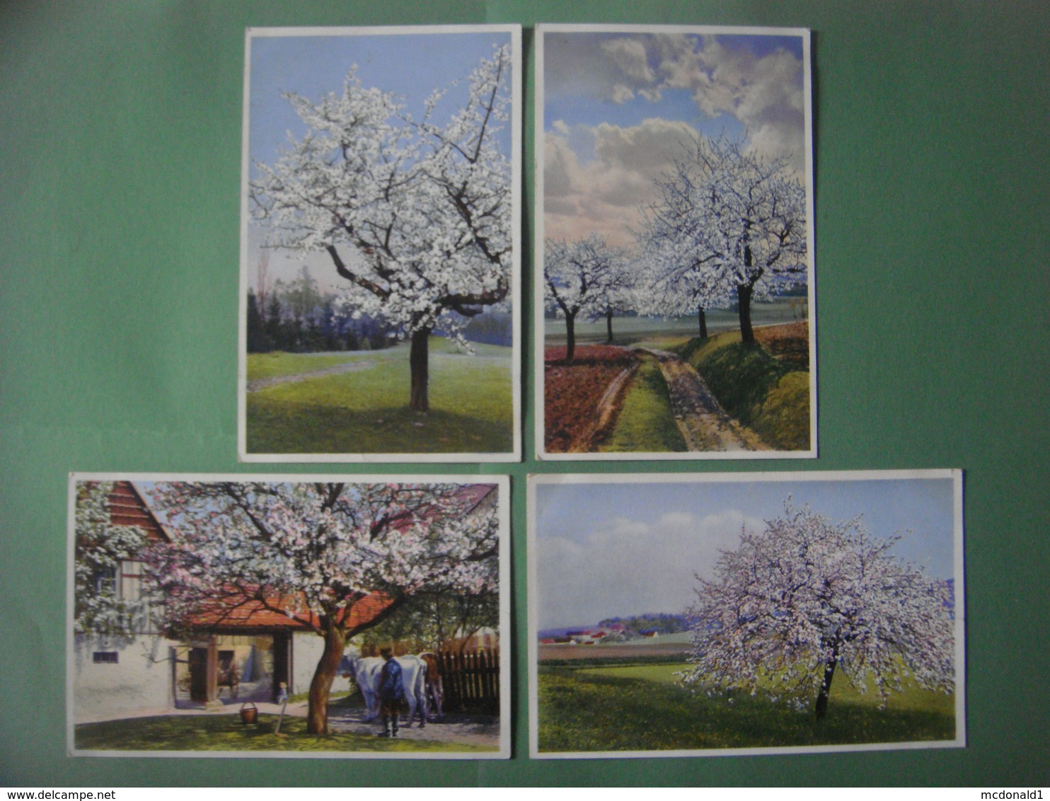 Lot De 6 Jolies Cartes Dessin PAYSAGE - Landschap - Landscape Scenery --- Arbres - Trees - Fleurs - Bloemen - Flowers - - Alberi