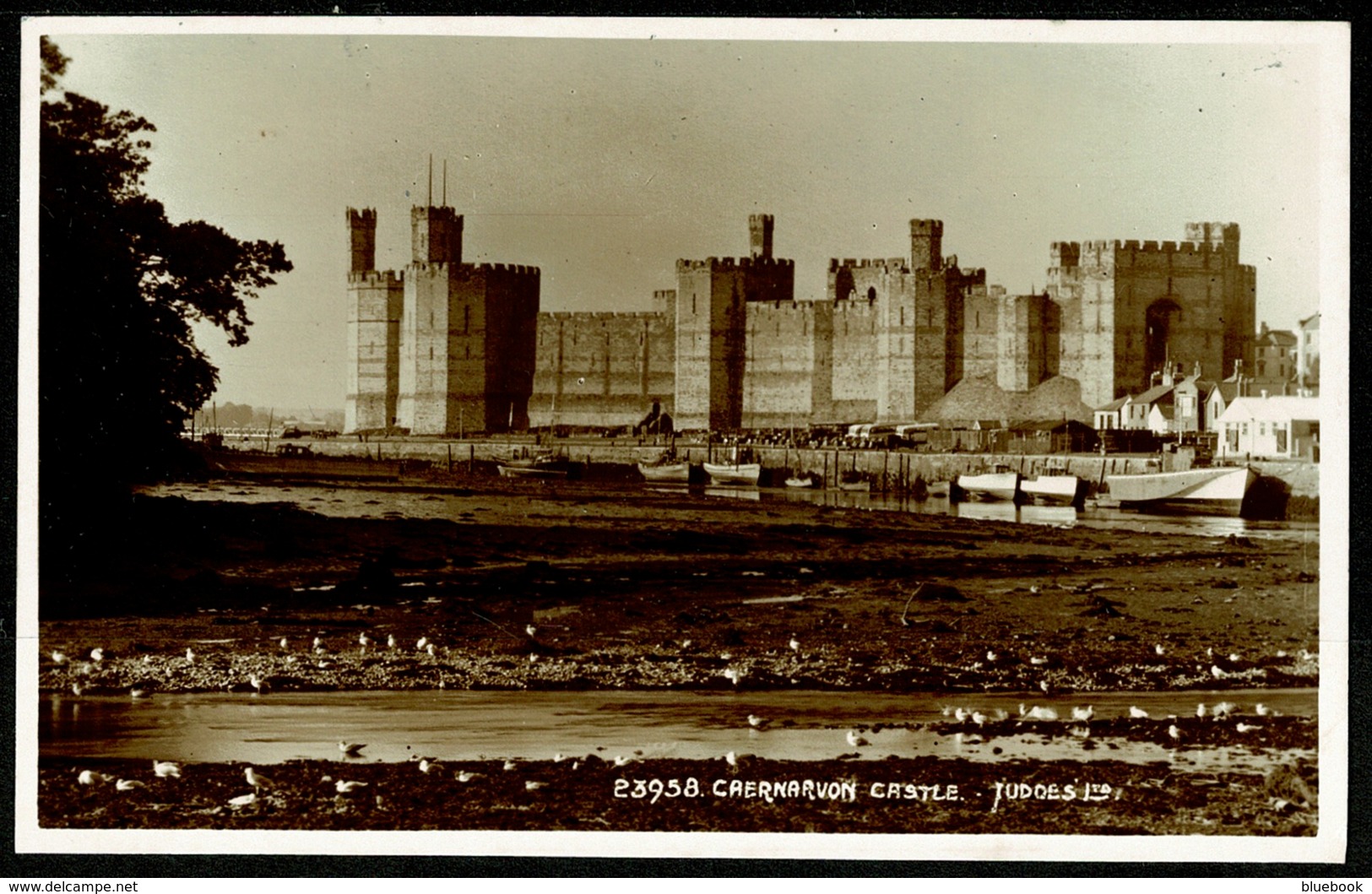 Ref 1263 - Judges Real Photo Postcard - Caernarvon Castle - Caernarvonshire Wales - Caernarvonshire