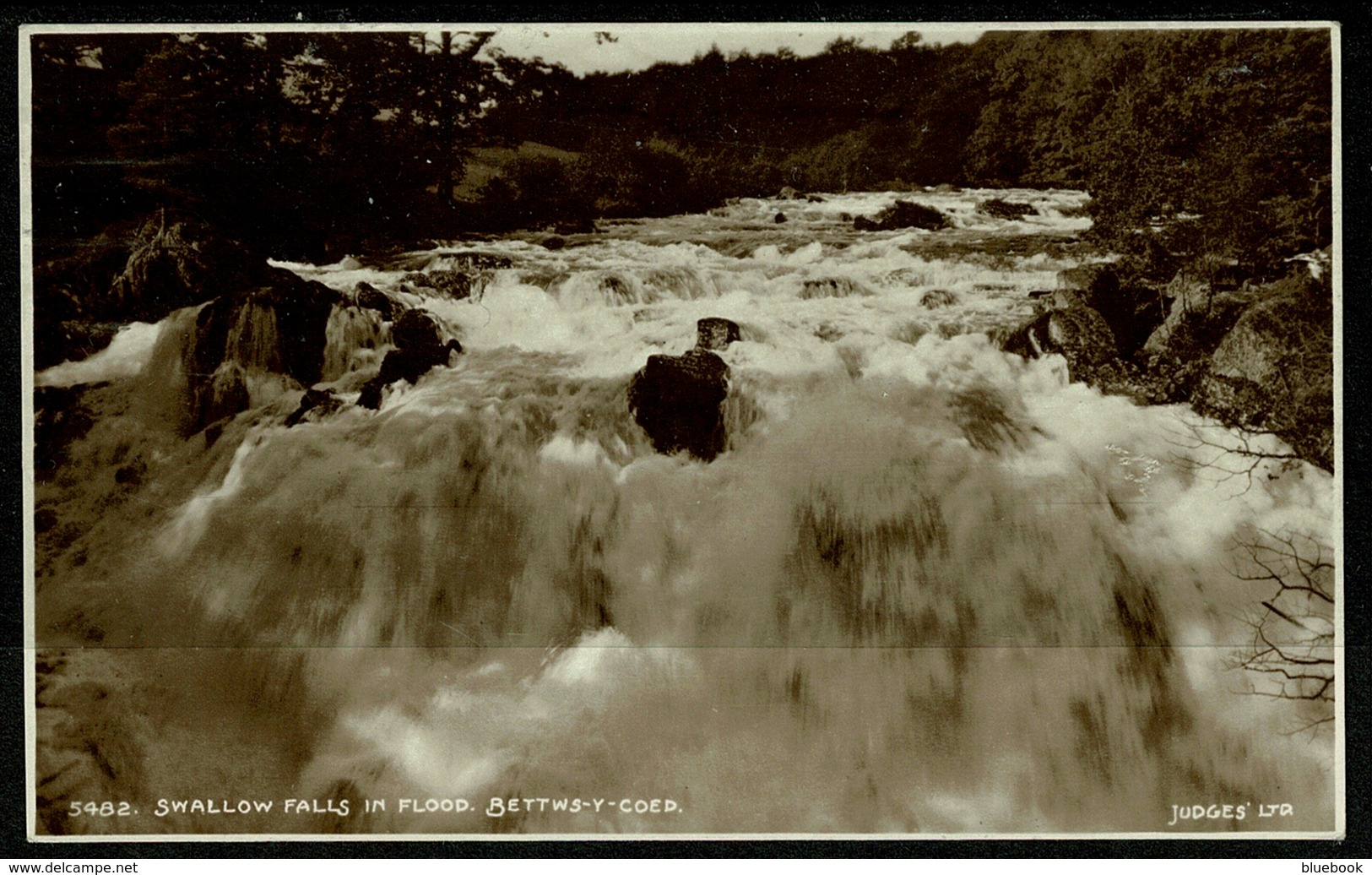 Ref 1263 - 1921 Judges Real Photo Postcard - Swallow Falls Beetws-Y-Coed - Caernarvonshire Wales - Caernarvonshire