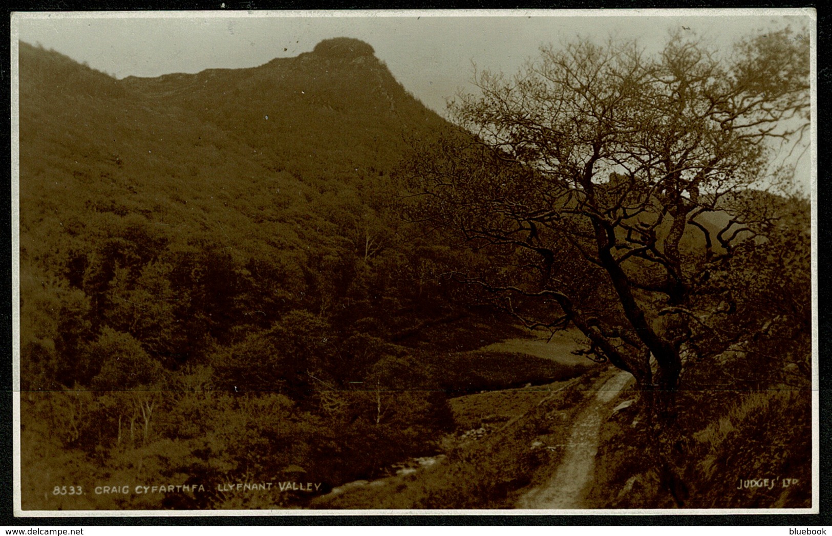 Ref 1263 - Judges Real Photo Postcard - Craig Cyfarthfa Llyfnant Valley - Cardiganshire Wales - Cardiganshire