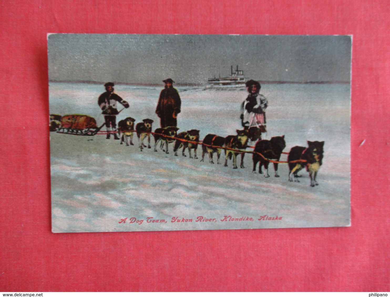 Dog Team Yukon River Klondike Alaska    Ref 3143 - Dogs