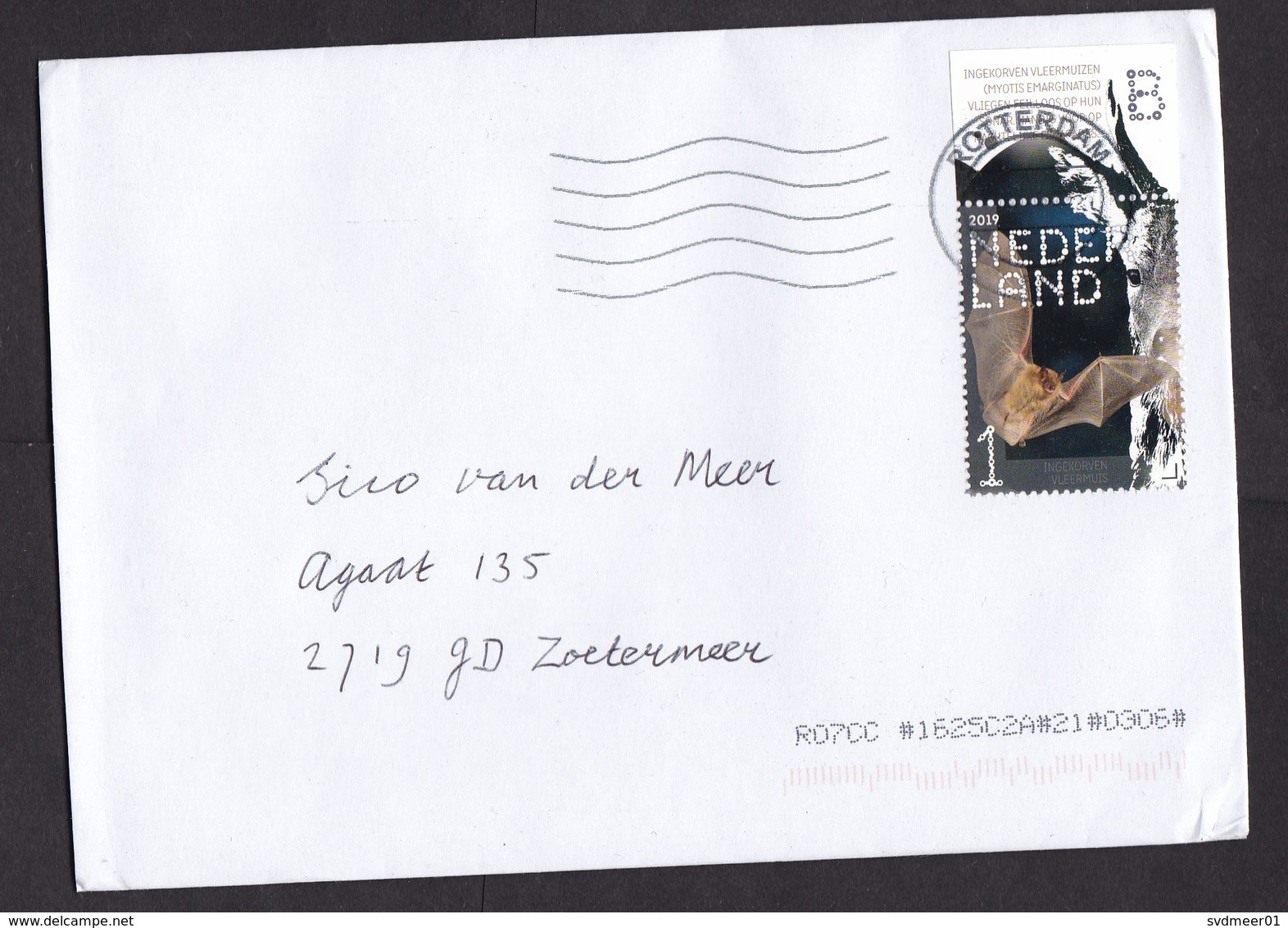 Netherlands: Cover, 2019, 1 Stamp + Tab, Bat, Endangered Animal (traces Of Use) - Storia Postale