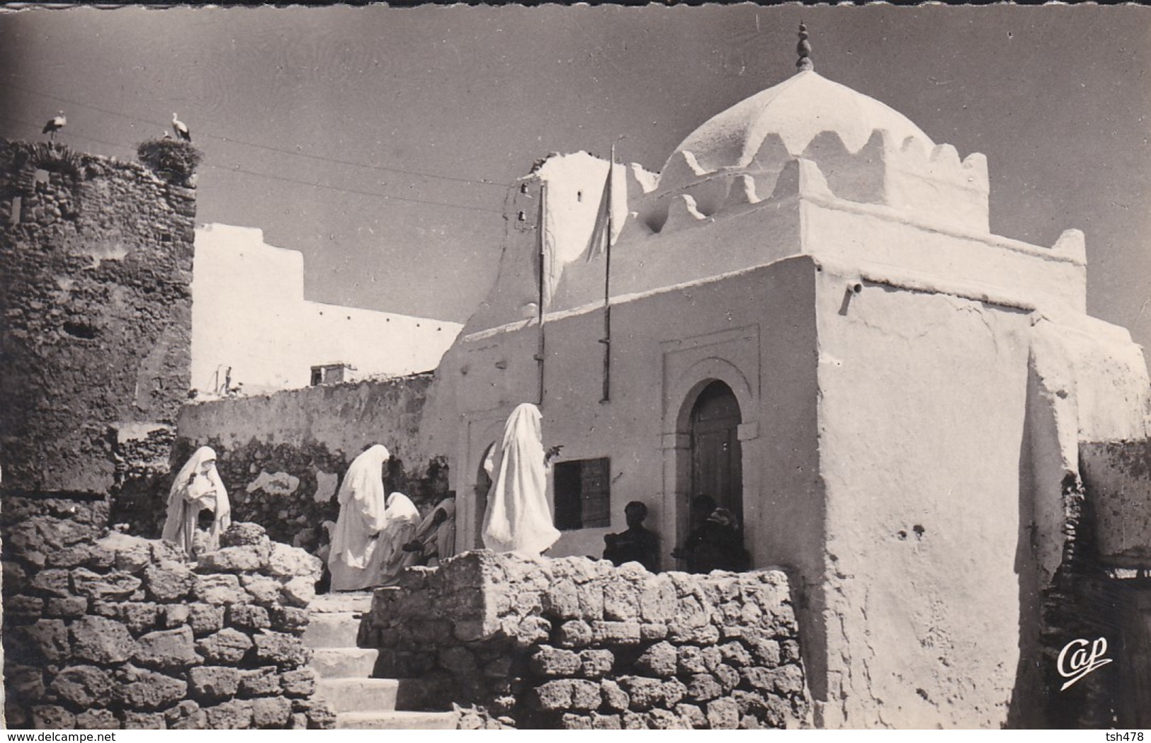 MAROC------AZEMMOUR----Pélerinage Au Sanctuaire---voir 2 Scans - Autres & Non Classés