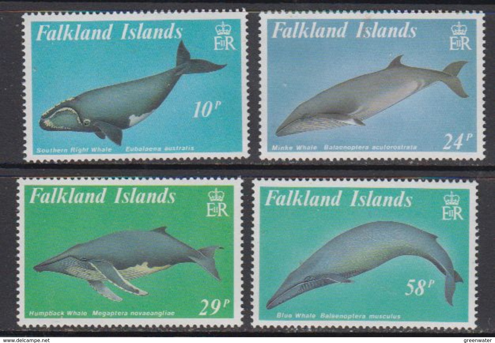 Falkland Islands 1989 Baleen Whales 4v ** Mnh (41722) - Falklandeilanden