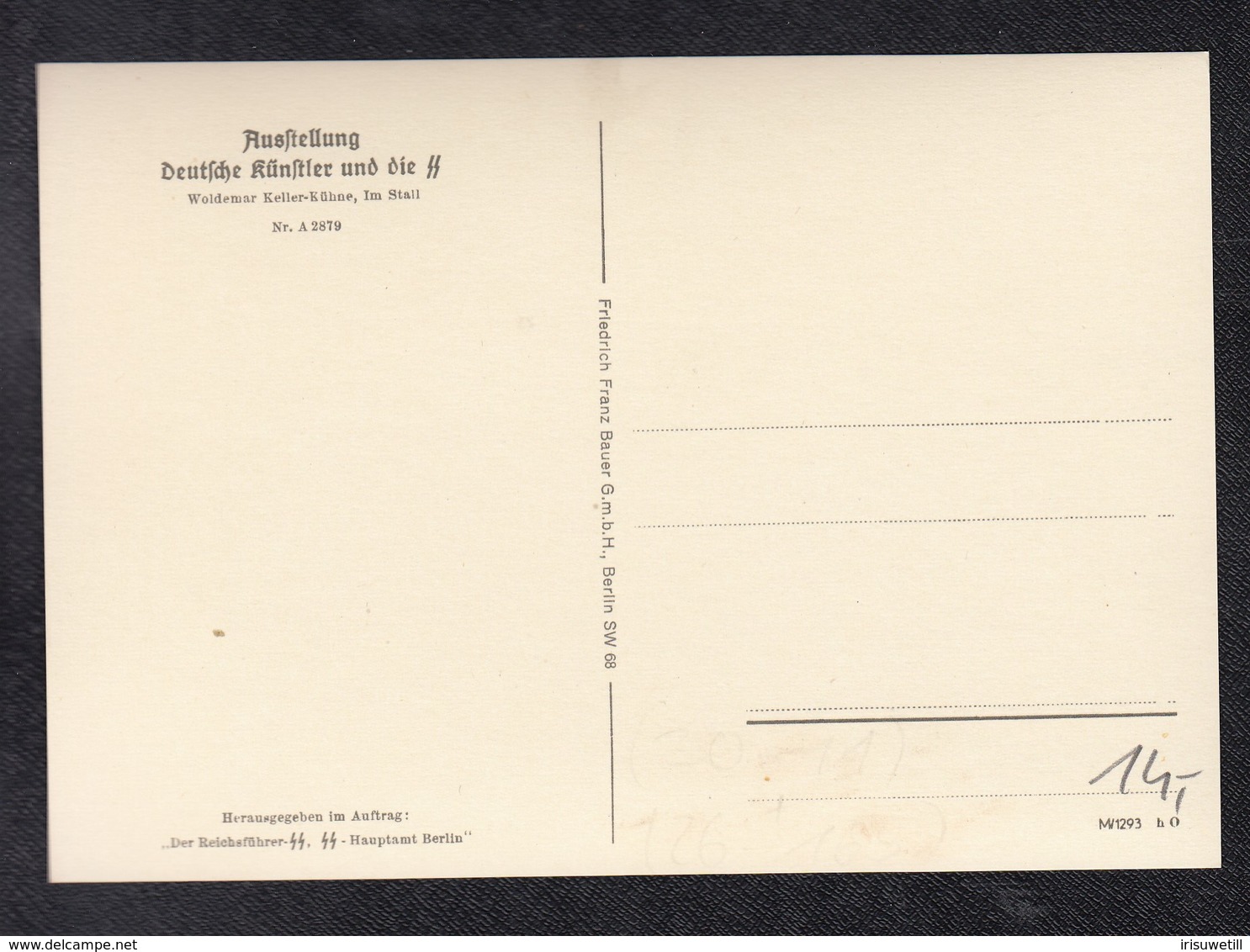 DR Ausstellung SS / Pferde Im Stall - Guerre 1939-45