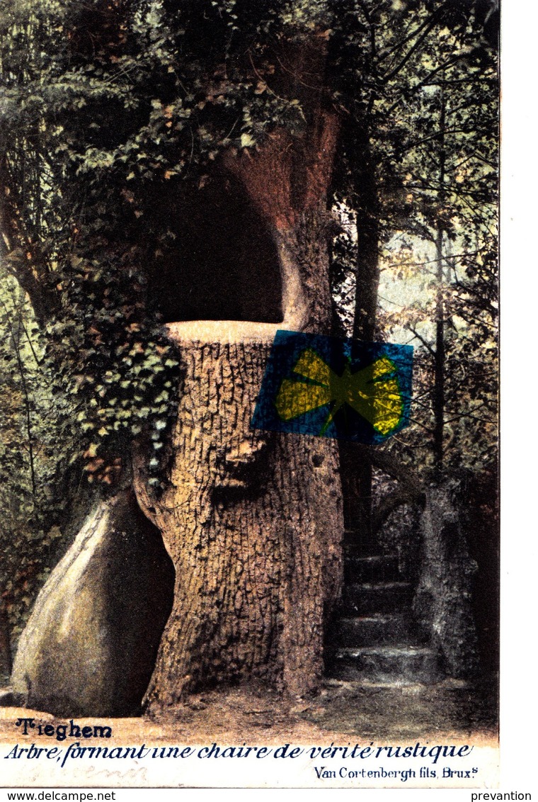 TIEGHEM - Arbre Formant Une Chaire De Vérité Rustique - Carte Colorée Et Circulée En 1902 - Anzegem