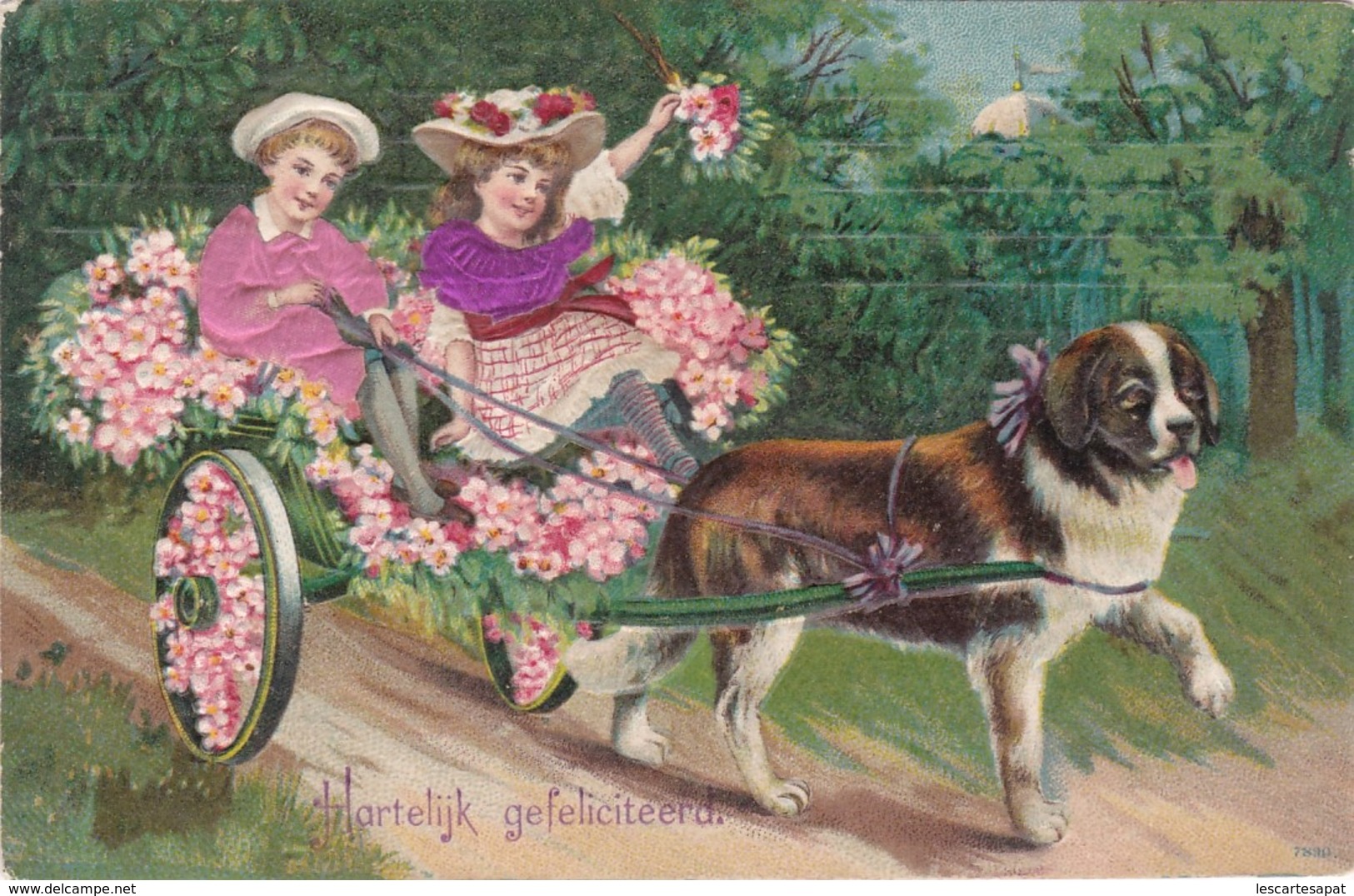 Carte Gauffrée Enfants Attelage De Chien Saint Bernard  1909  (lot Pat 44) - Hunde