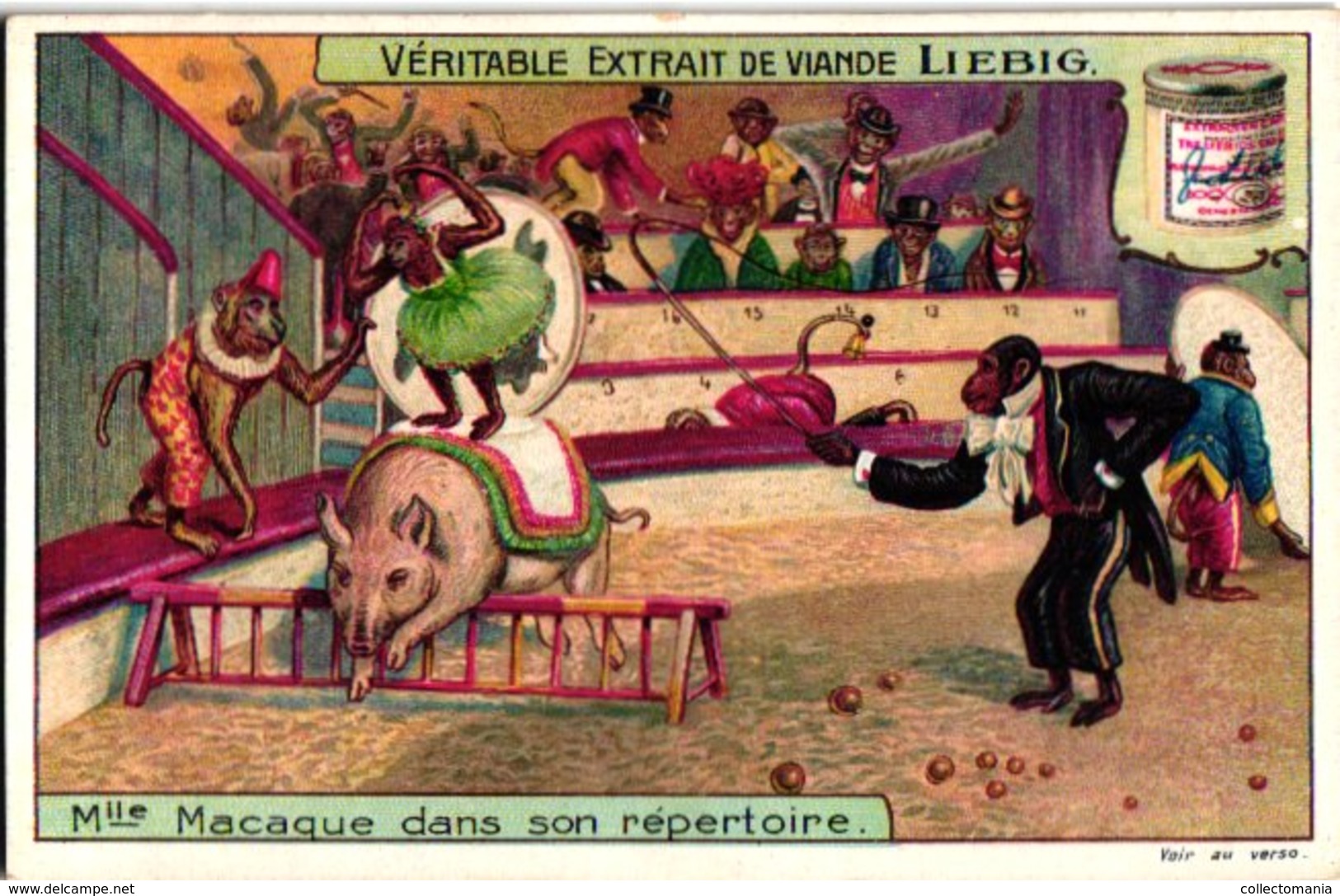 1006 - Liebig 6 Cards  C1910 Monkey Business-Phonographe-Circus-Musiciens-Carrousel Des Singes - Liebig