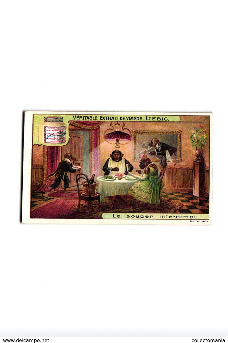 1006 - Liebig 6 Cards  C1910 Monkey Business-Phonographe-Circus-Musiciens-Carrousel des Singes