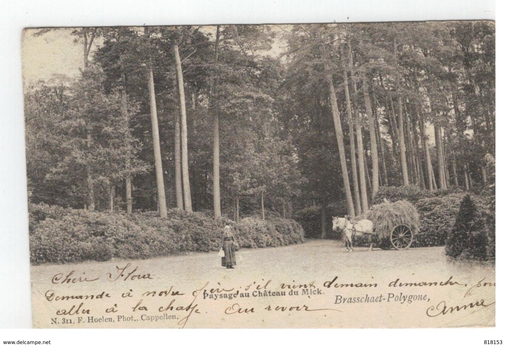 Brasschaat:  Brasschaet-Polygone,Paysage Au Château Du Mick N.311 F.Hoelen,Phot,Cappellen 1902 - Brasschaat