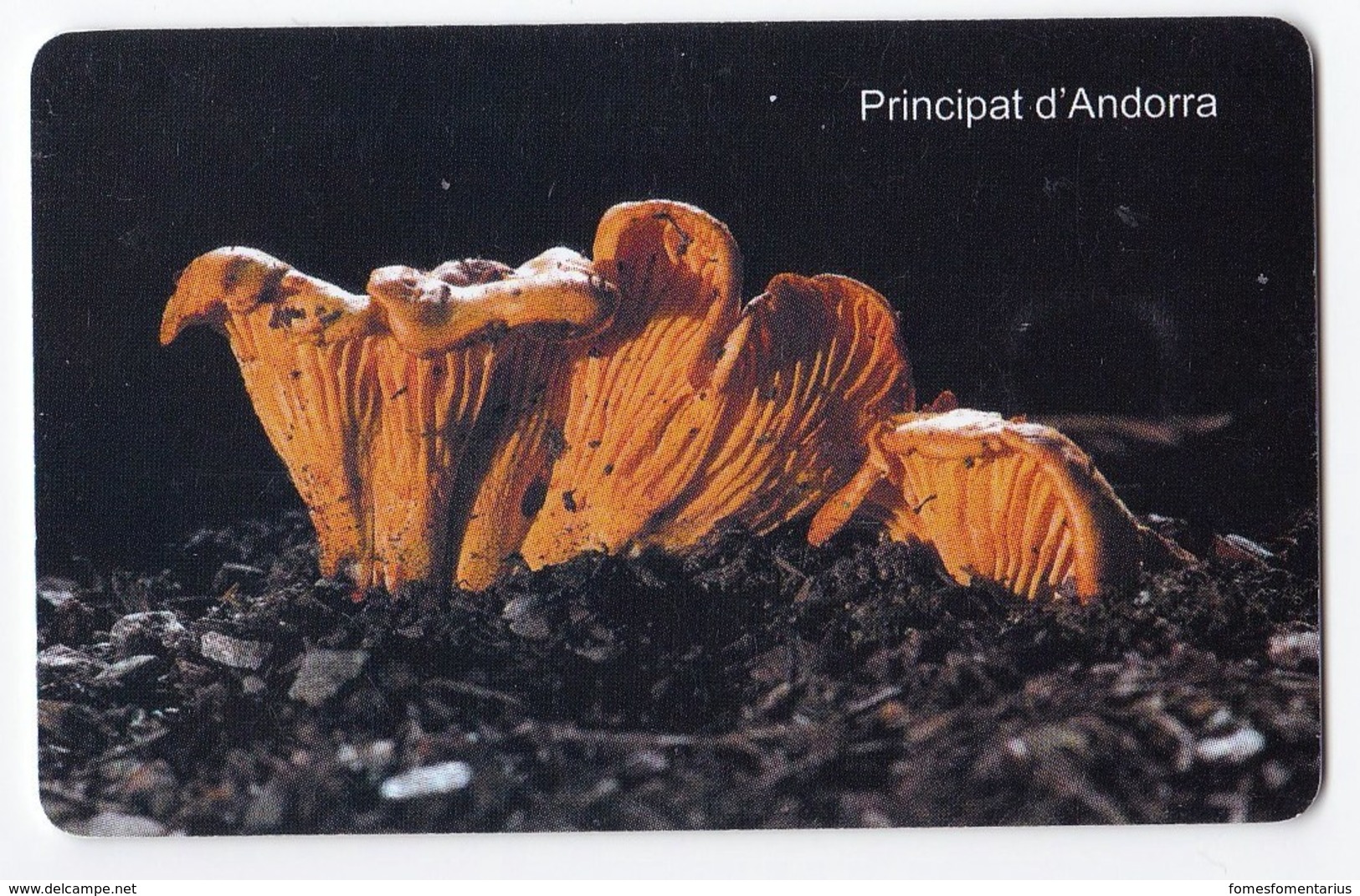 Télécarte De Andorre, Champignon  Mushroom Girolle Champignons Setas Pilze - Other & Unclassified