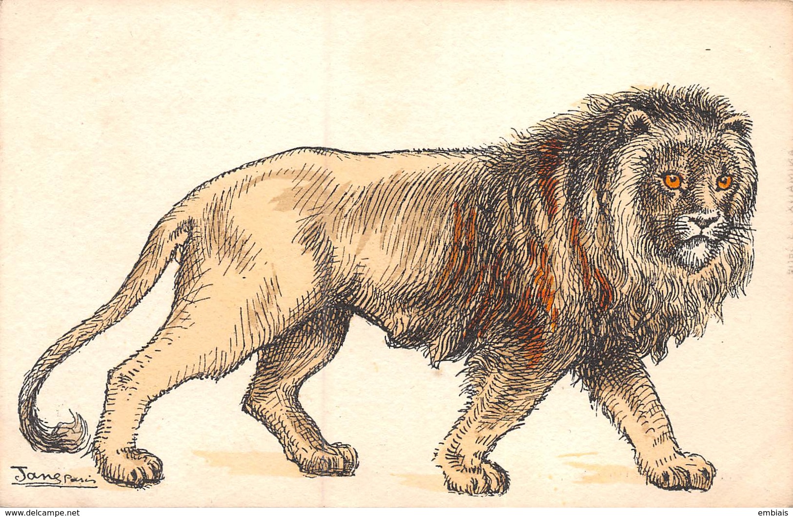 Lion- Illustrateur - Dessin à La Plume Aquarelle - Animaux 3 Série- Éditeur Picot - Autres & Non Classés