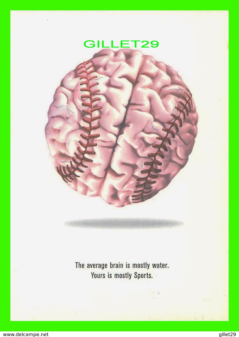 SÉRIE DE TV - FOX SPORTS NET - THE AVERAGE BRAIN IS MOSTLEY WATER, YOURS IS MOSTLY SPORTS - - Séries TV