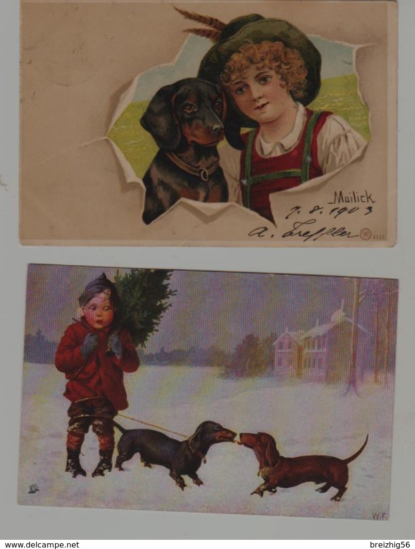 CHIENS BASSETS  Onze Cartes Fantaisie Signées W.F., Reichert, Feiertag - Hunde