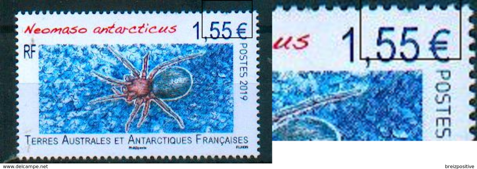 TAAF / French Southern AntarcticTerritories 2019 - Neomaso Antarcticus - Une Dent Courte/ One Short Teeth - MNH - Spinnen