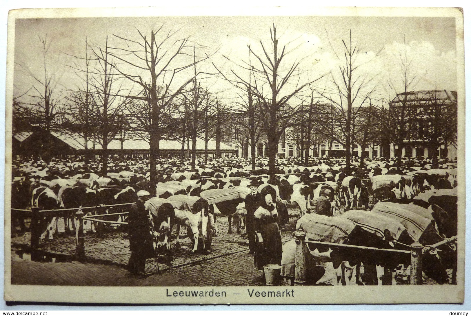 LEEUWARDEN - VEEMARKT - Leeuwarden