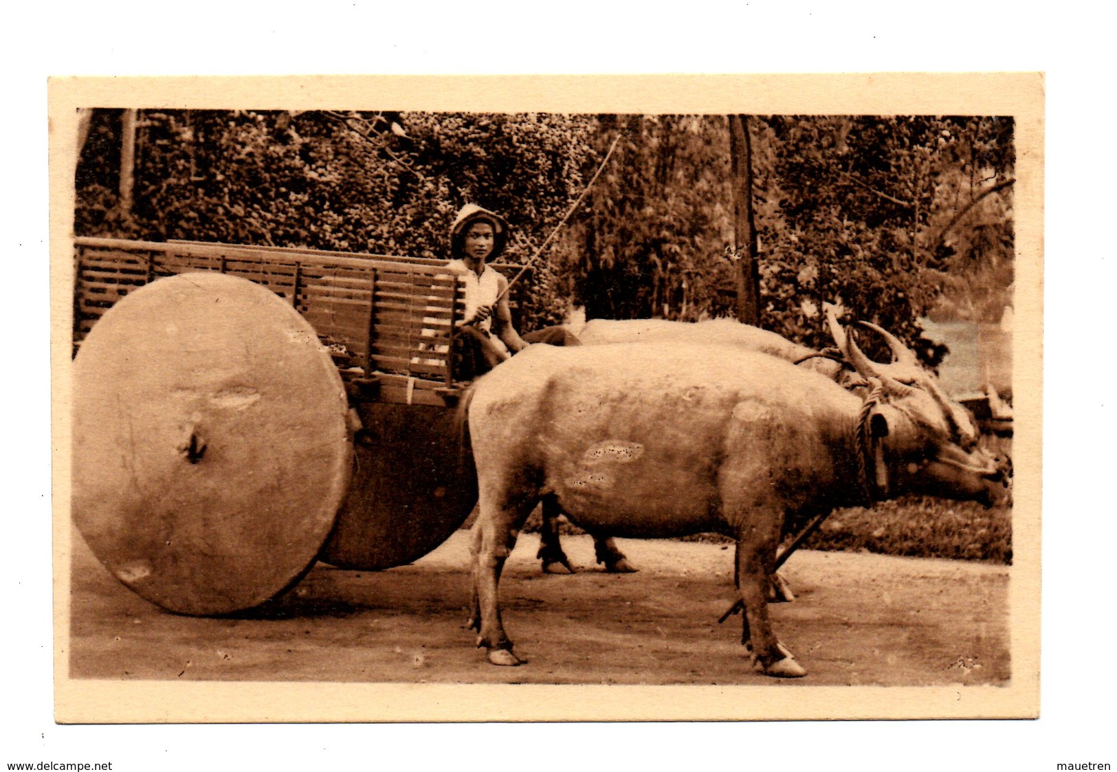 VIET - NAM . COCHINCHINE . Charrette Annamite Pour La Forêt - Viêt-Nam