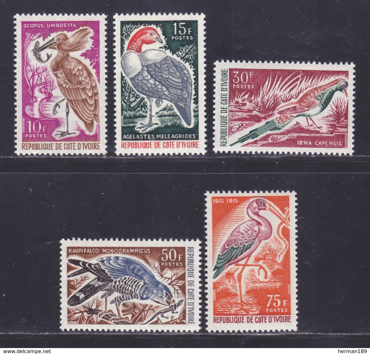 COTE D'IVOIRE N°  238 à 242 ** MNH Neufs Sans Charnière, TB (D8423) Oiseaux Divers - 1965 - Costa D'Avorio (1960-...)