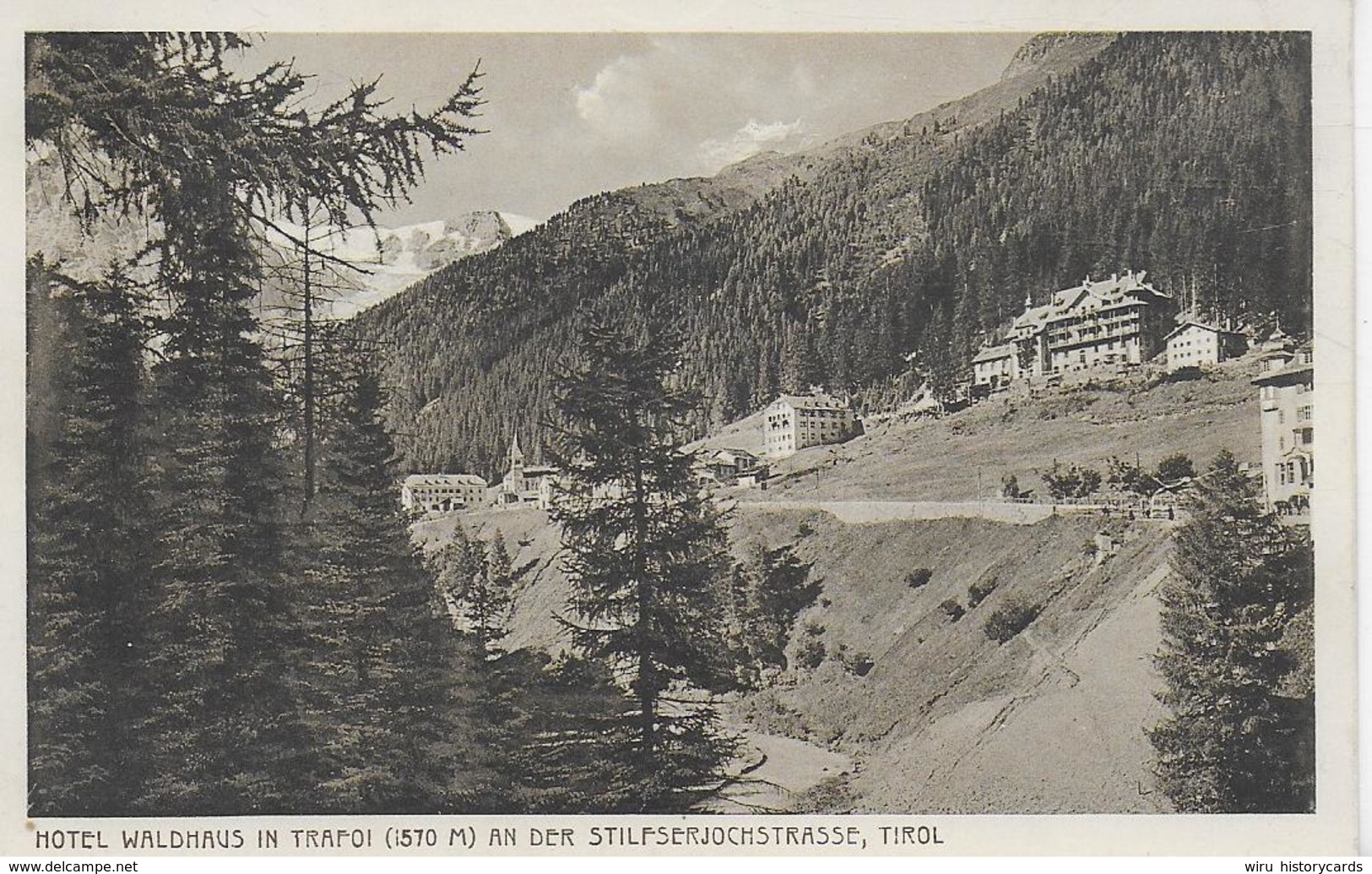 AK 0141  Hotel Waldhaus In Trafoi An Der Stilfserjochstrasse - Verlag Amonn Ca. Um 1920 - Bolzano