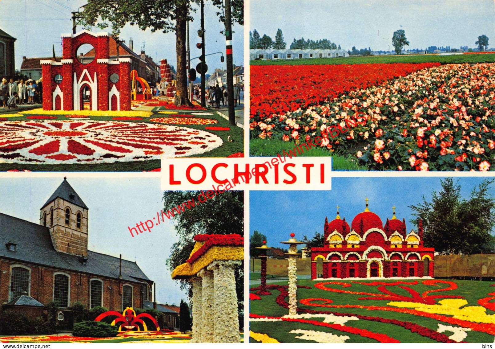 Tuinbouwcentrum - Jaarlijks Begonia-festival - Lochristi - Lochristi