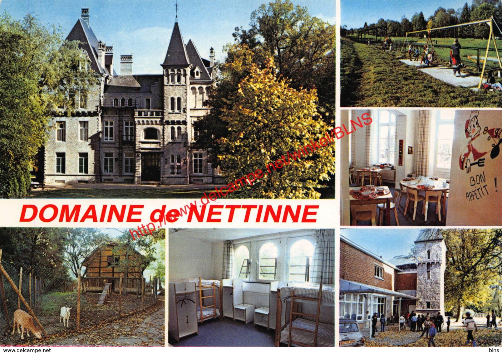 Domaine De Nettinne - Nettinne Somme-Leuze - Somme-Leuze