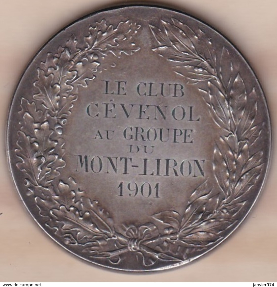 Médaille En Bronze Le Club Cévenol Au Groupe Du Mont Liron 1901, Alès Gard, Par Henri Naude - Autres & Non Classés