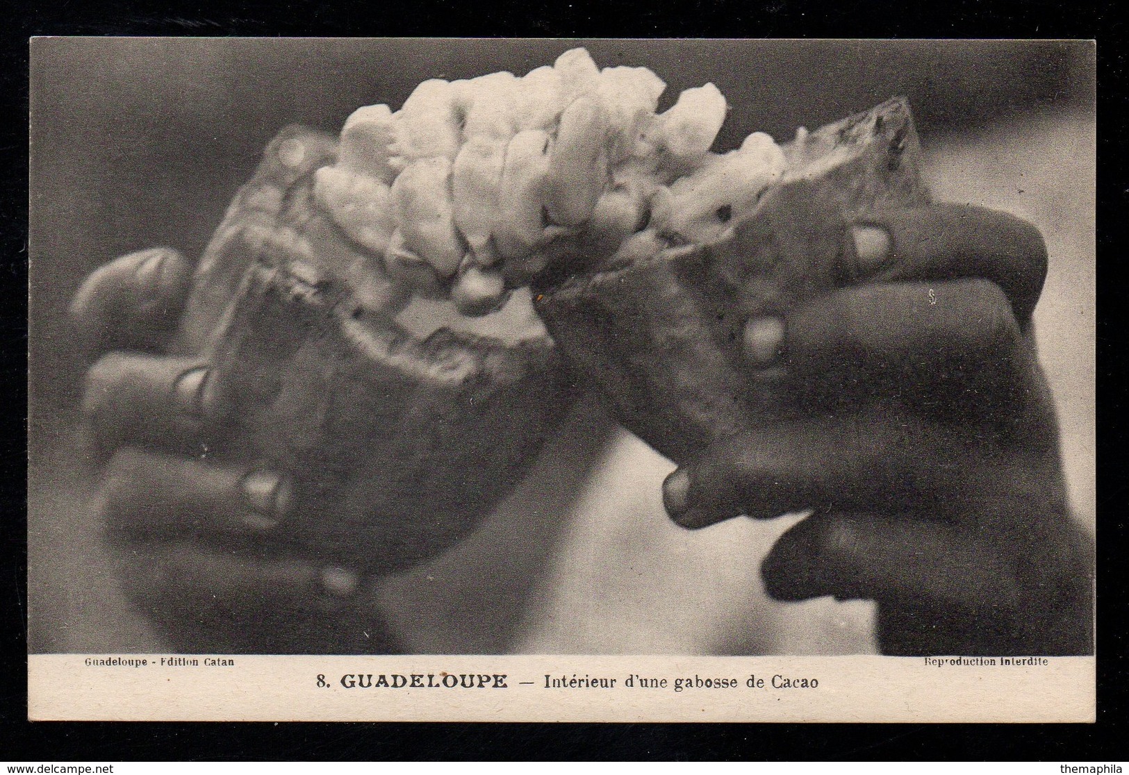 CHOCOLAT - CACAO - COCOA / GUADELOUPE CARTE POSTALE "GABOSSE DE CACAO" (ref CP682) - Autres & Non Classés