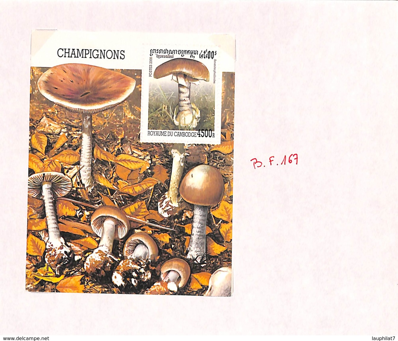 [701585]Cambodge 2000 - N° 1, Petit Lot De Bloc Sur Feuille, Flore, Champignon. - Cambodge