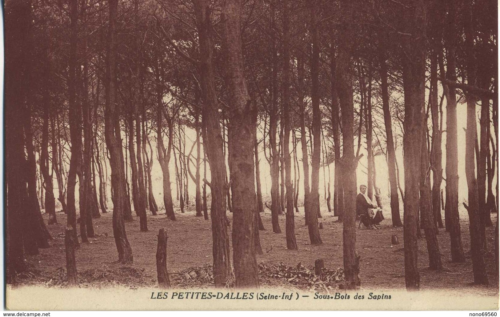 CPA 76 Les Petites Dalles Sous Bois Des Sapins  Voyage 1935 Rare - Autres & Non Classés