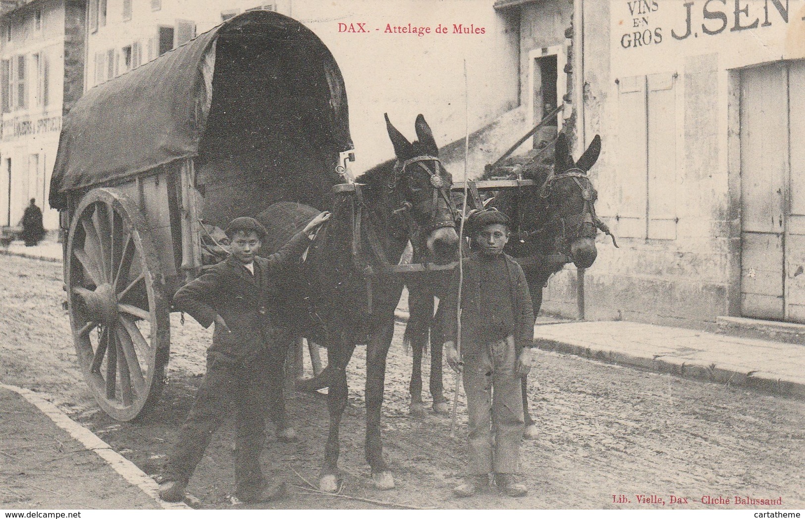 CPA - Attelage De Mules - Dax - Teams