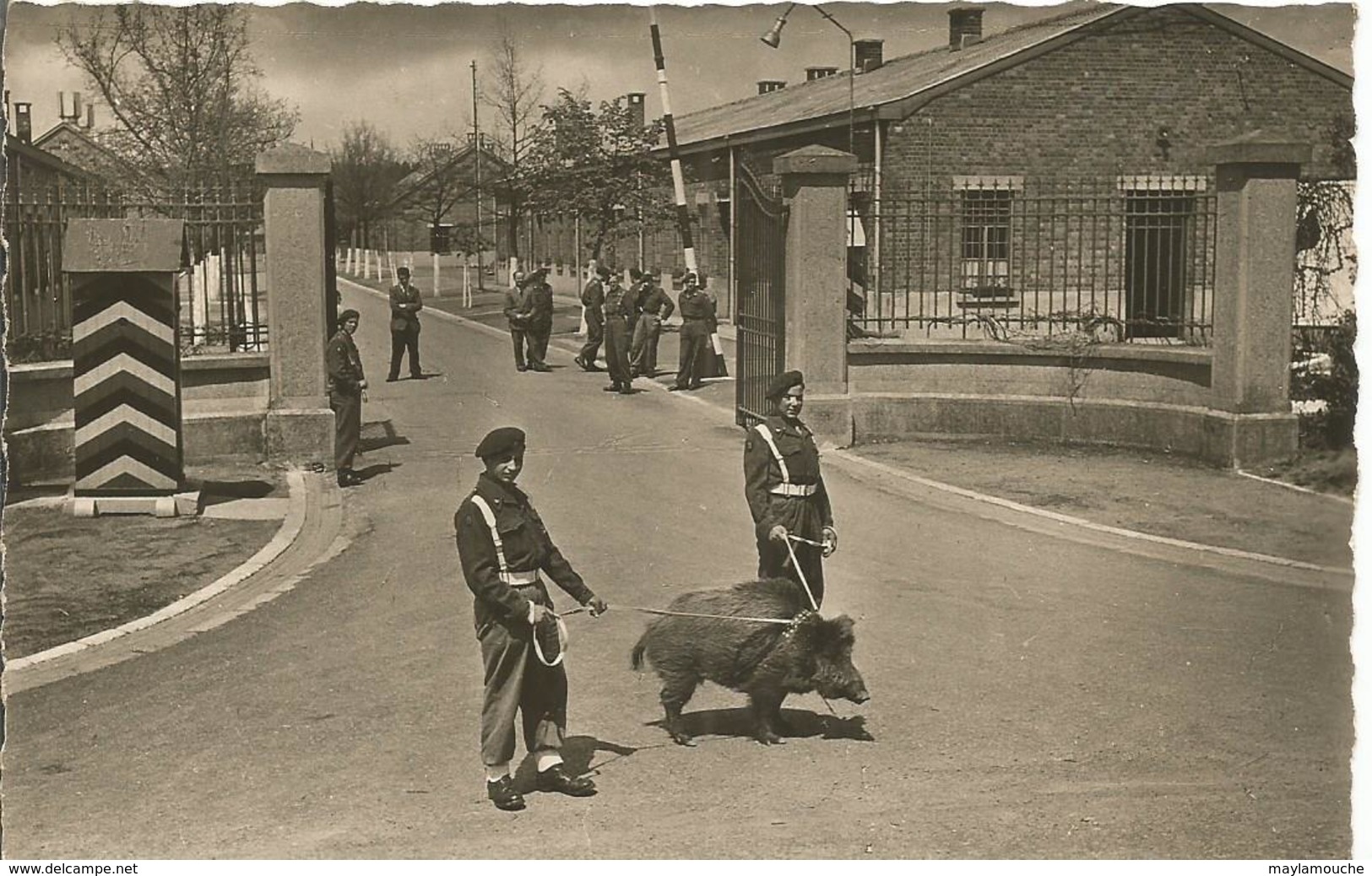 Vielsalm Rencheux Caserne Chasseurs Ardennais - Casernes