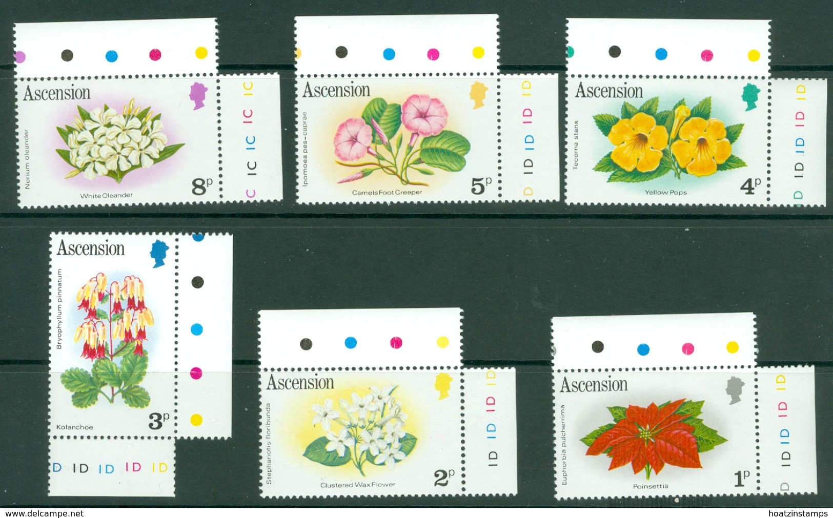 Ascension: 1981/82   Flowers Set   SG282A-296A   MNH - Ascension