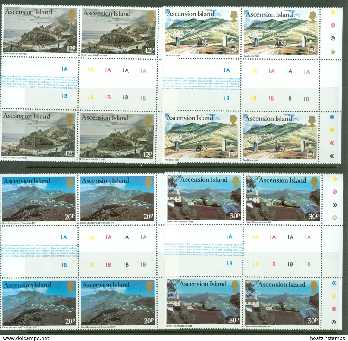 Ascension: 1981   Green Mountain Farm   MNH Gutter Blocks - Ascension