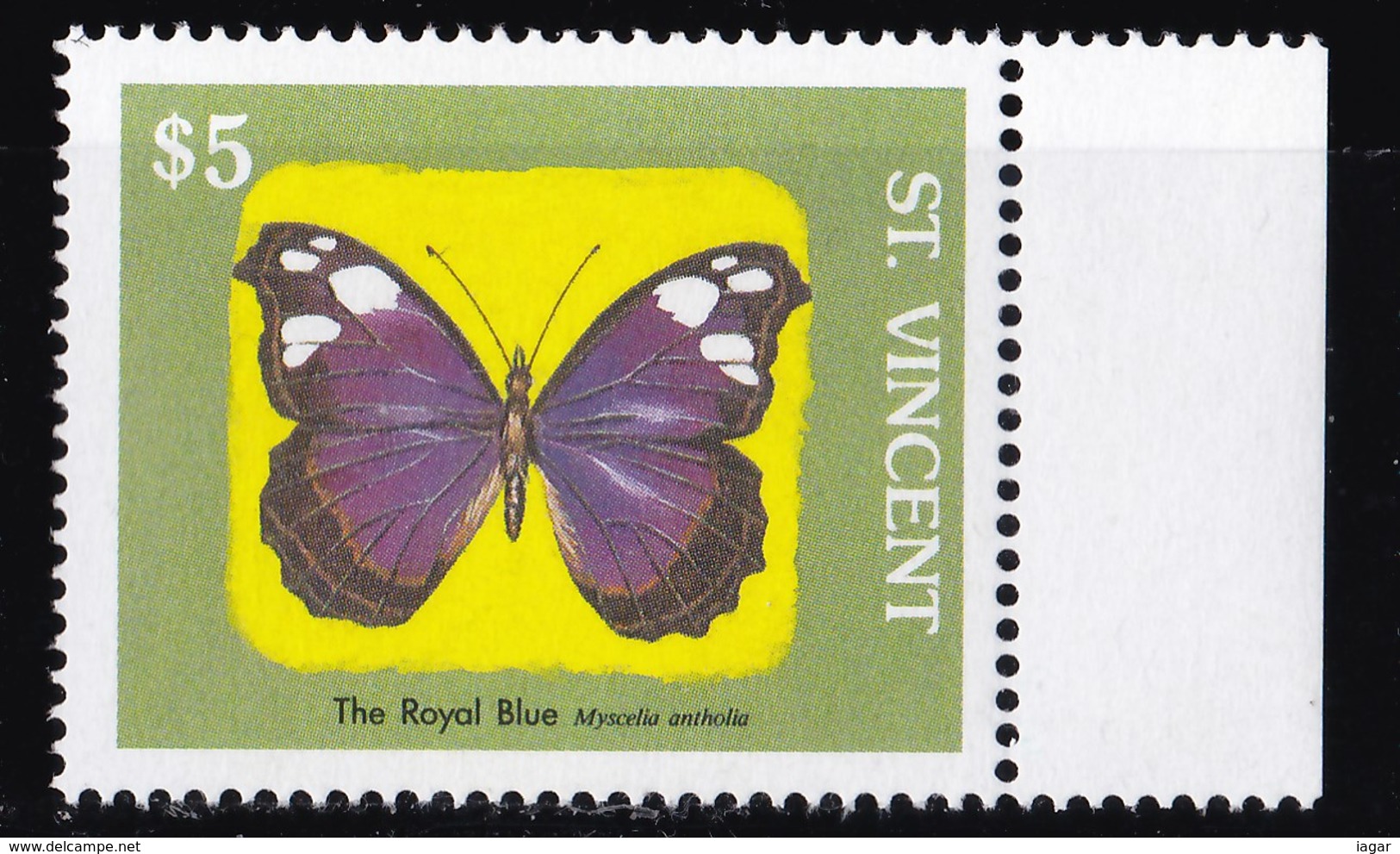 THEMATIC BUTTERFLIES - ST. VINCENT - Schmetterlinge