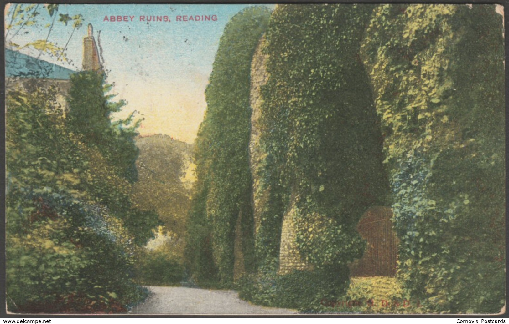 Abbey Ruins, Reading, Berkshire, 1906 - GD&DL Postcard - Reading